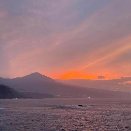 펜션 Spacious With Private Terrace