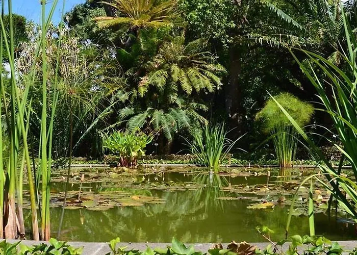 Spacious With Private Terrace * 푸에르토 드 라 크루즈