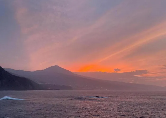 펜션 Spacious With Private Terrace